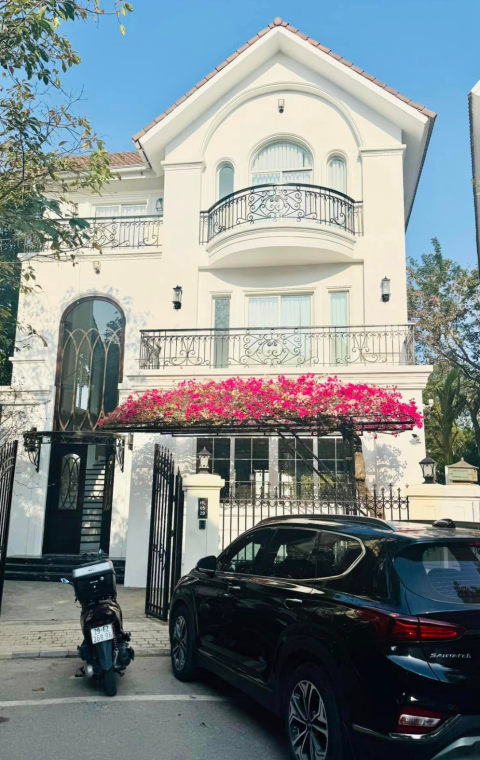 Aesthetic House