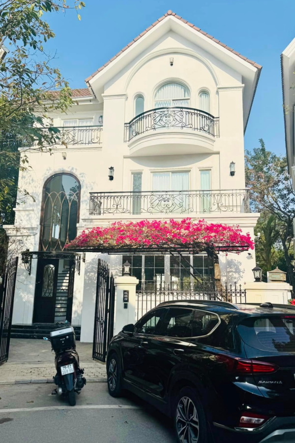 Aesthetic House